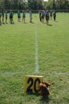 Kappa Delta and Zeta Tau Alpha prepare for the next round of flag football while a coach's dog rests near the 20 yard line.  - Photo by Neisha Fuson