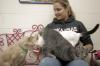 Katie Veach plays with cats at the Jackson Madison County Humane Society during Day of Remembrance. The society is always looking for people to come out to spend time and play with the animals. - Photo by Kyle Kurlick