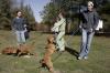 Andy Baldwin, Leah Littlefield, Sydney Toland and Lori Landon take a pack of puppies out for a walk around the property of the Jackson Madison County Humane Society during Day of Remembrance. - Photo by Kyle Kurlick