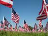 1,500 American flags fly on Union's south lawn, by the U, to help raise awareness of child abuse as a part of the Flags of Freedom campaign.  - Photo by Neisha Fuson