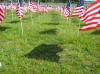 1,500 American flags fly on Union's south lawn, by the U, to help raise awareness of child abuse as a part of the Flags of Freedom campaign.  - Photo by Neisha Fuson