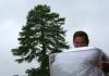 Katy Pope, junior art major, carries a comforter through the rain on the day that Union's newest students moved into the residence life complex. - Photo by Kristi McMurry