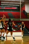 Katie Adams, junior, celebrates with her teammates after a point is gained against Martin Methodist.  The Lady Bulldogs won the match 3-0. - Photo by Kristi McMurry