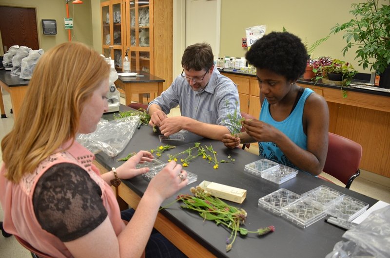 Botany.jpg