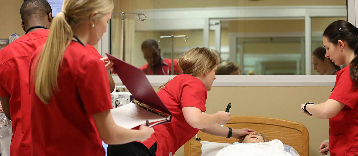Undergraduate Studies at Union University