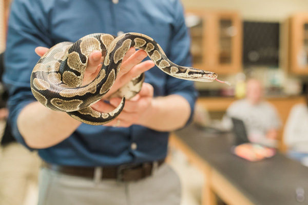 zoology at Union