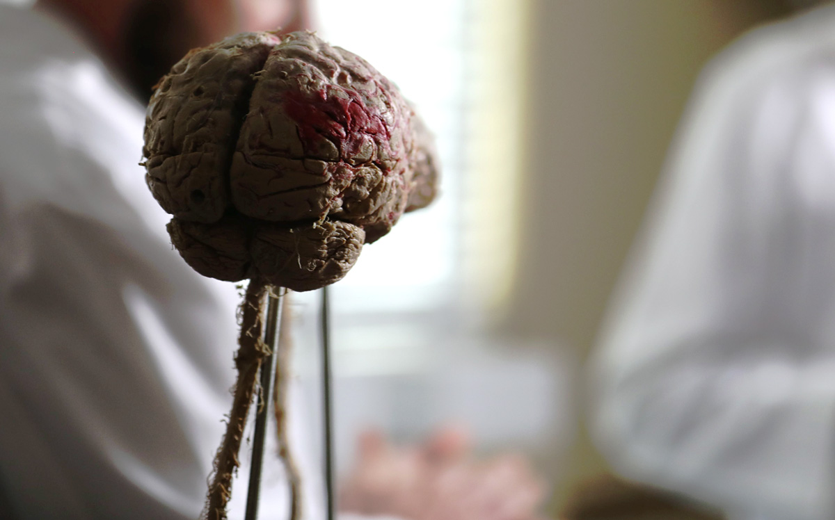 Department of Biology at Union