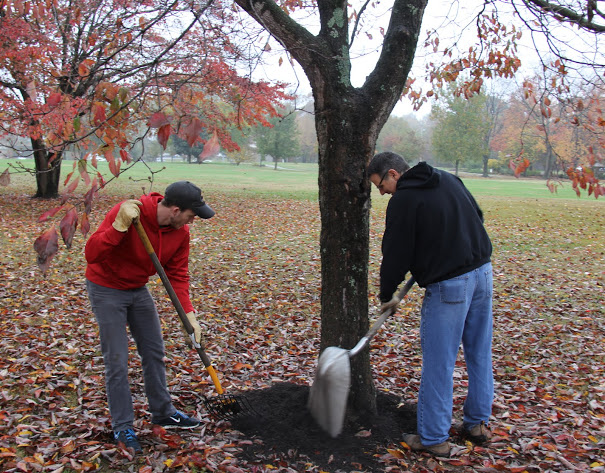 Seth Reid (left) and Dr. Keith Bates put mulch around a tree at Liberty Garden Park on November 7, 2017.