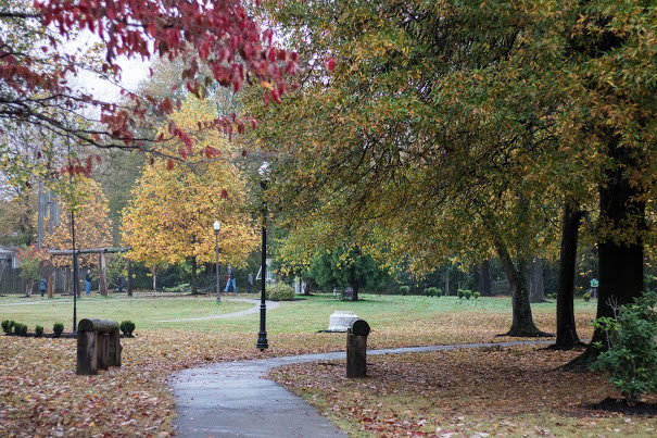 The beauty of Liberty Garden Park in the fall is quite evident in this photo taken at the history department's community service project on November 7, 2017. Photo by Janelle Vest