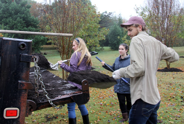 Ali Renckens (left) and Luke Sower remove mulch from a truck for placement around a tree at Liberty Garden Park on November 7, 2017. Lydia Black watches from behind.