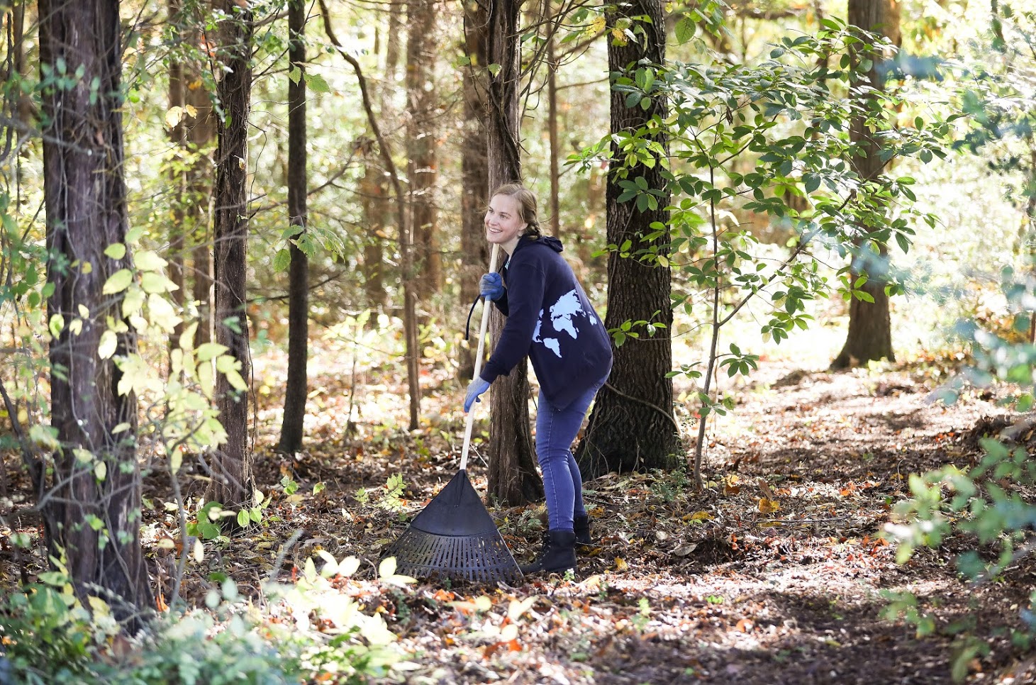 Phi Alpha Theta member Megan Ledbetter rakes leaves and small branches in the wooded area of Liberty Garden Park on November 6, 2018. Photo by Kristi Woody