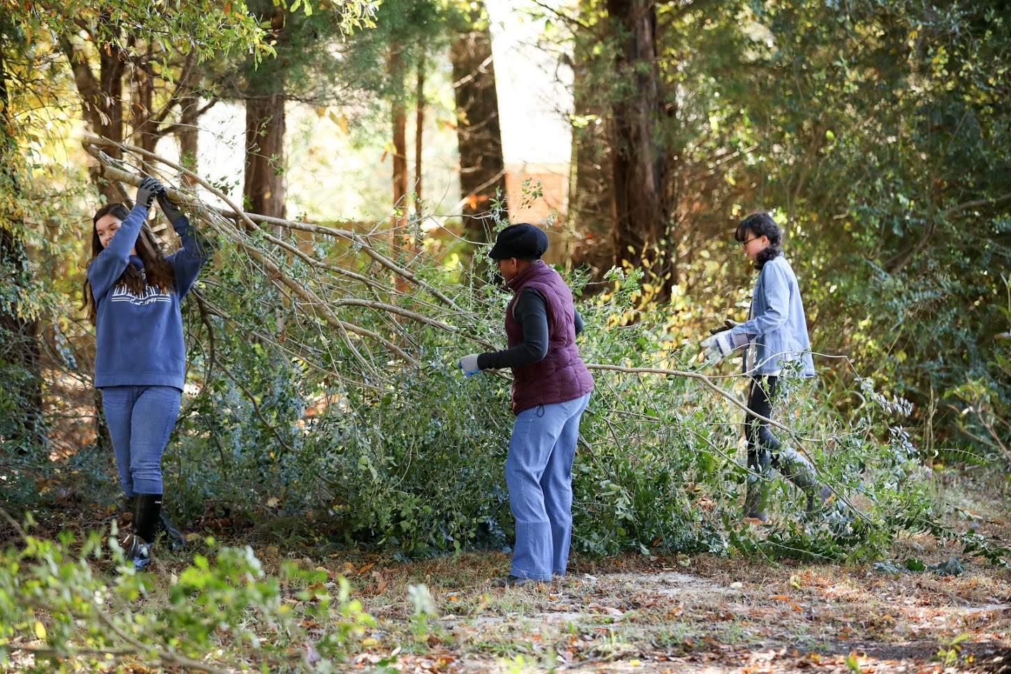 Rachel Durham (left) carries some large tree branches to a debris pile. Tranae Newsome (center) and Lillie Salazar (right) also help out at the history department's Day of Remembrance project at Liberty Garden Park on November 6, 2018. Photo by Kristi Woody