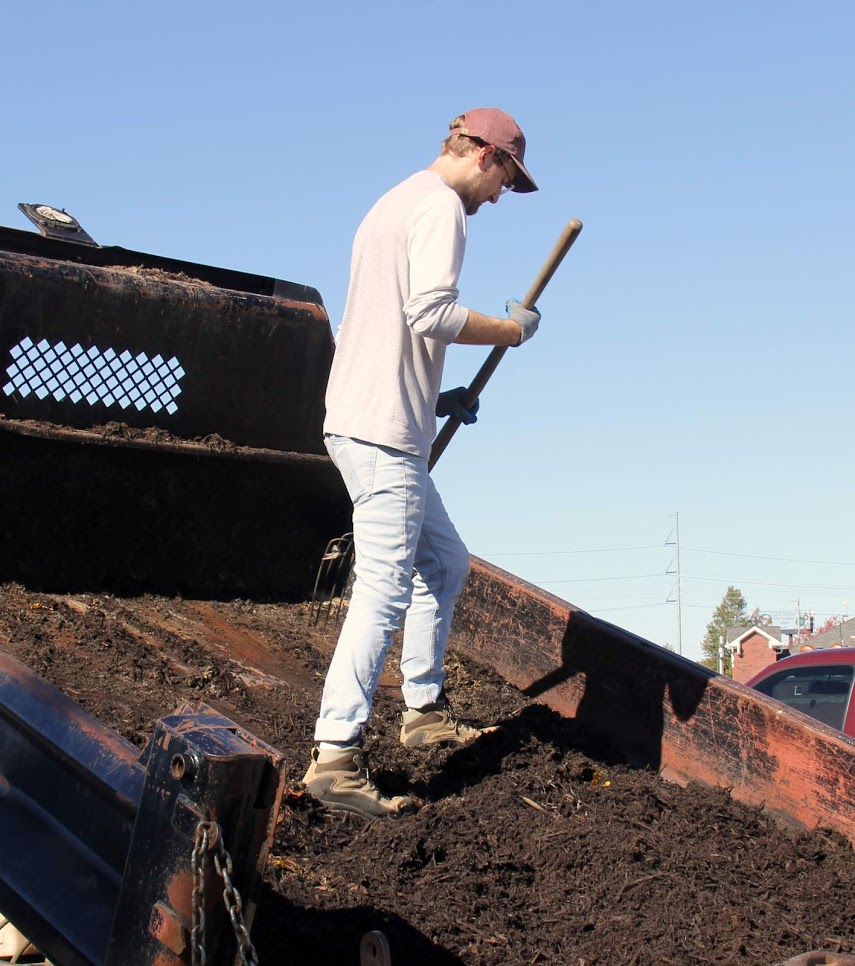 Luke Sower clears mulch from the bed of a dump truck during Phi Alpha Theta's Campus and Community service project at Liberty Garden Park on November 6, 2018.