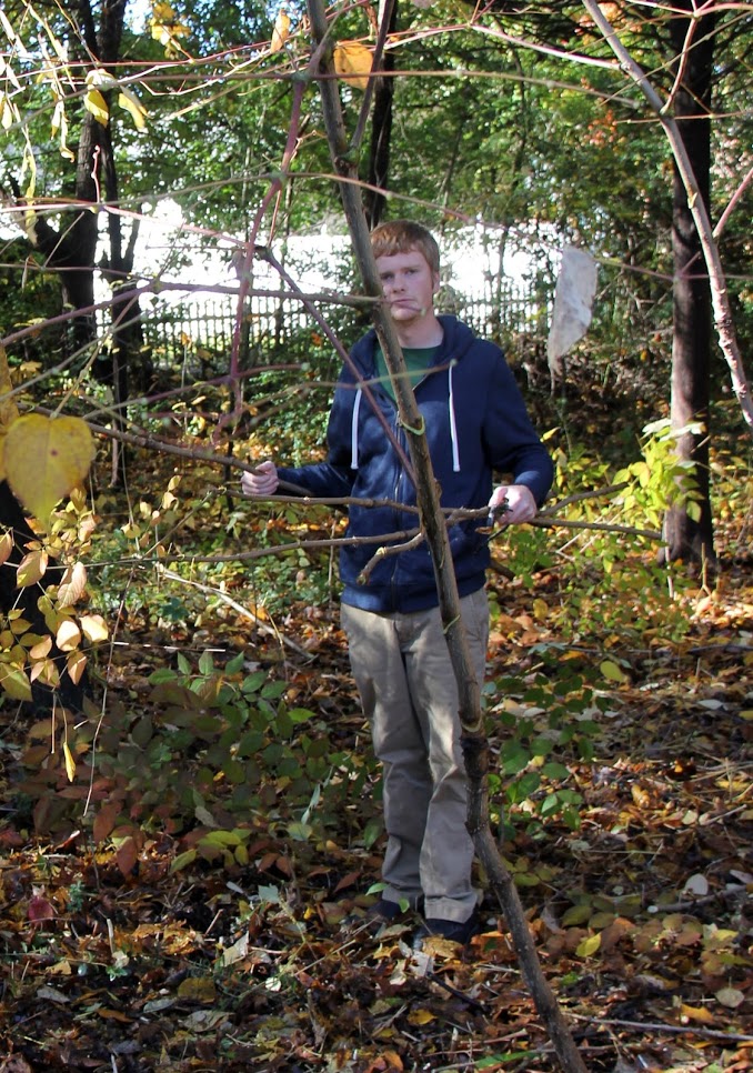 Phi Alpha Theta member Gideon Ragland carries tree branches toward a pile of debris during the history department's community service project at Liberty Garden Park on November 6, 2018.