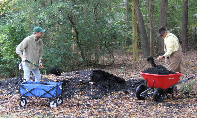 Phi Alpha Theta member Luke Sower (left) and Keep Jackson Beautiful member Don Jaquet load their mulch carriers at Liberty Garden Park on October 29, 2019.