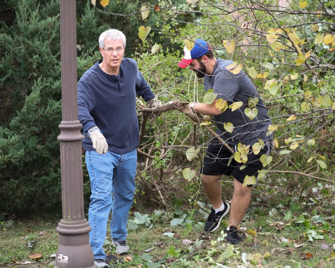 Dr. David Thomas (left) and Nicholas Terra remove a large kudzu branch from an area of dense foliage at Liberty Garden Park and Arboretum on October 29, 2019. Photo by Kristi Woody