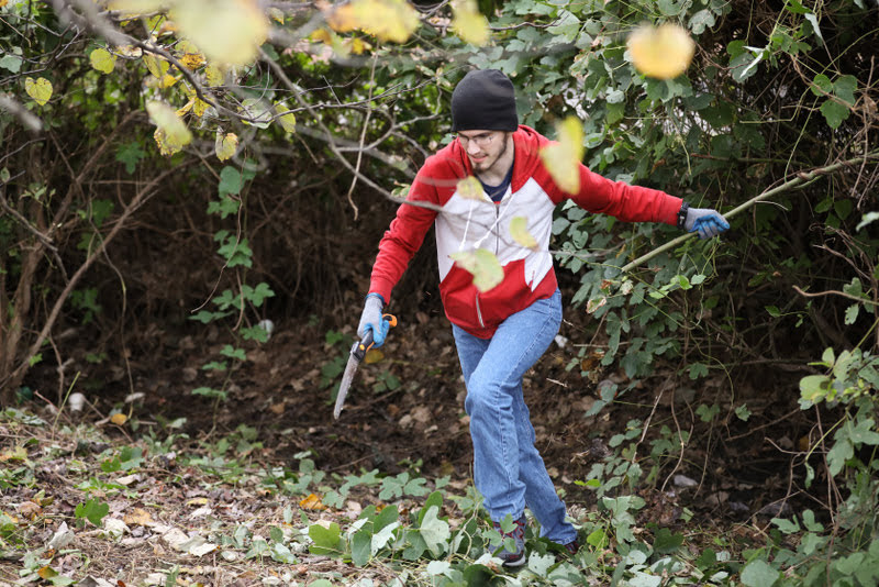 History major Matthew Latham removes a kudzu branch from some dense foliage at Liberty Garden Park on October 29, 2019. Photo by Kristi Woody