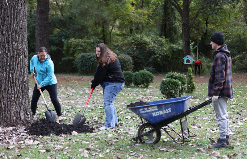 Tammy Buchanan-Anderson (left) and Sandra Allen spread mulch around a tree at Liberty Garden Park on November 2, 2021. Joe Gee holds a wheelbarrow of mulch for them to use. Photo by Kristi Woody
