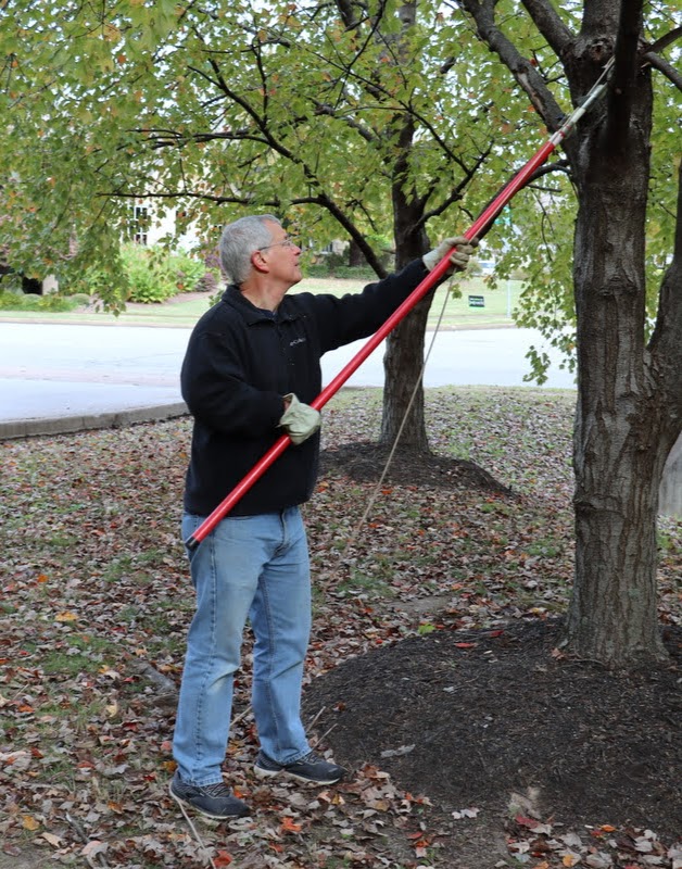 Dr. David Thomas saws a branch off a tree at Liberty Garden Park during the  history department's community service project on November 2, 2021.