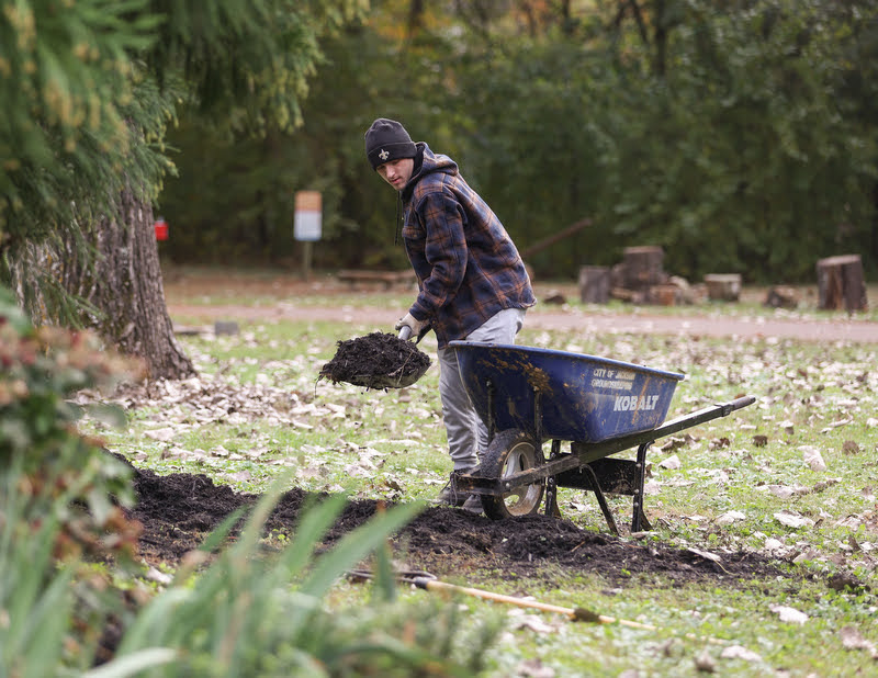 Joe Gee loads mulch into a wheelbarrow at the Phi Alpha Theta/Rutledge Honorary History Club-sponsored community service project at Liberty Garden Park on November 2, 2021. Photo by Kristi Woody
