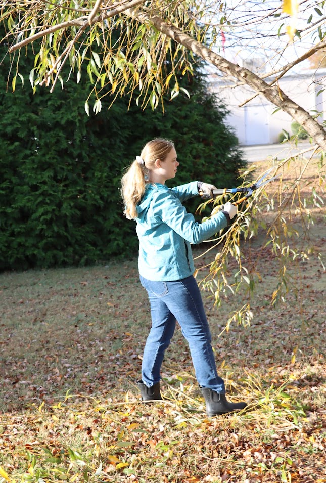 History club member Anna Guelcher trims a tree at the Phi Alpha Theta/Rutledge Honorary History Club-sponsored  community service project at Liberty Garden Park on November 1, 2022.