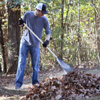 Phi Alpha Theta member Luke Adkins rakes leaves at Salem Cemetery, site of a Civil War battle in December, 1862, as a part of the Phi Alpha Theta/History Department community service project on November 1, 2016. Photo by Elizabeth Wilson