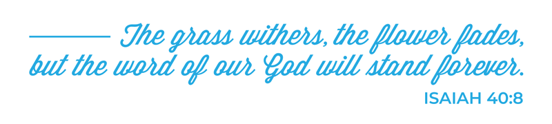 The grass withers, the flower fades, but the word of our God will stand forever. Isaiah 40:8