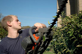 Union junior Justin Boggs trims a bush at the Hartland Place apartments during the 2009 Campus and Community day. (Photo by Beth Spain)