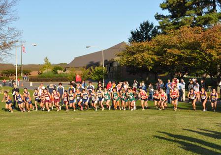 Starting line at the Union Cross Country Invitational. - Photo by Uncredited
