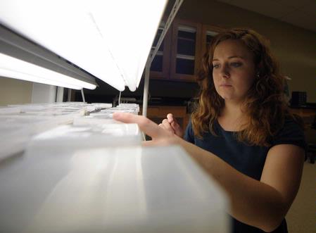 Biology student conducting an experiment. - Photo by Morris Abernathy