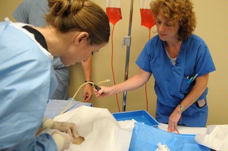 Nursing students work on simulations in Providence Hall. - Photo by Morris Abernathy