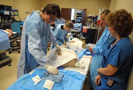 Nursing students work on simulations in Providence Hall. - Photo by Morris Abernathy