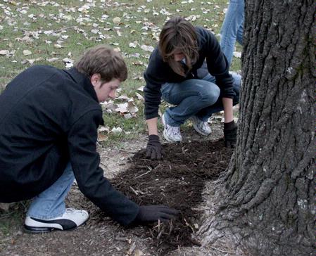 Dalton Autrey, freshman political science major and Laura Axelson, freshman elementary education major, help lay mulch at Liberty Garden Park during the annual Campus and Community Day. - Photo by Ebbie Davis