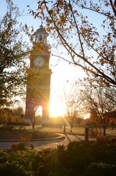 Miller tower at sunset surrounded by beautiful trees with signs of fall.  - Photo by Anne Richoux