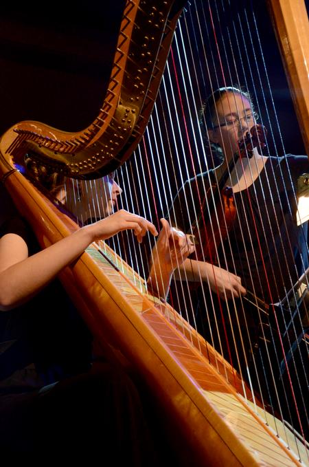 A harpist plays in the music department's annual Christmas concert "A Union Christmas." - Photo by Ebbie Davis