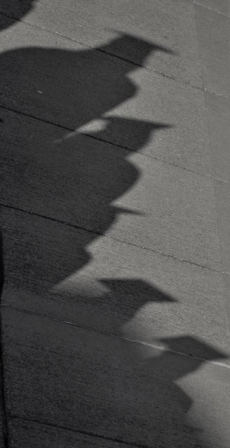 The bright summer sun casts shadows of the graduates as they walk to the Great Lawn for spring graduation. - Photo by Morris Abernathy