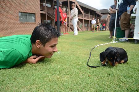 Casey Mack, junior psychology and family studies double major and LifeGroup leader, visits with a daschund puppy from All Saints Anglican Church during new student move-in day. - Photo by Jacob Moore