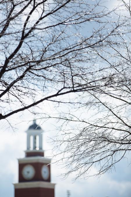 Icy branches could be seen all over campus after a big ice/snow storm in the area. - Photo by Kristi McMurry Woody