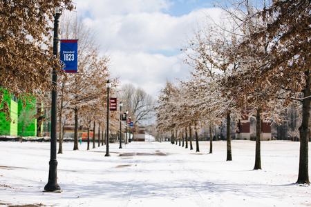 The sidewalk leading to Jennings and Providence Halls was covered in snow and ice for several days. - Photo by Kristi McMurry Woody