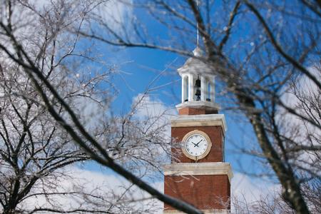 Miller Tower in the bright sun behind many ice-laden branches. - Photo by Kristi McMurry Woody