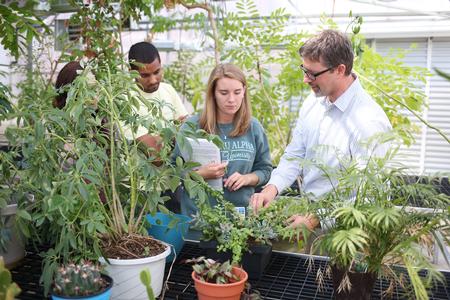 Michael Schiebout, assistant professor of biology, gives students an overview of the plants in the greenhouse during botany lab. - Photo by Kristi McMurry Woody
