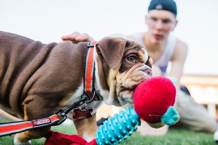 Buster enjoys some attention from students during Res Life Field Day. - Photo by Kristi McMurry Woody