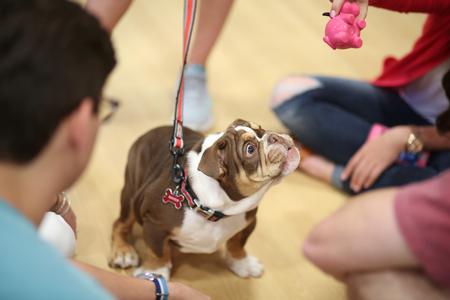 Students at the Senior Send-off event enjoy playing with Buster.  - Photo by Kristi McMurry Woody