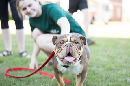 Buster the Bulldog supervises the events during Residence Life Field Day. - Photo by Kristi McMurry Woody