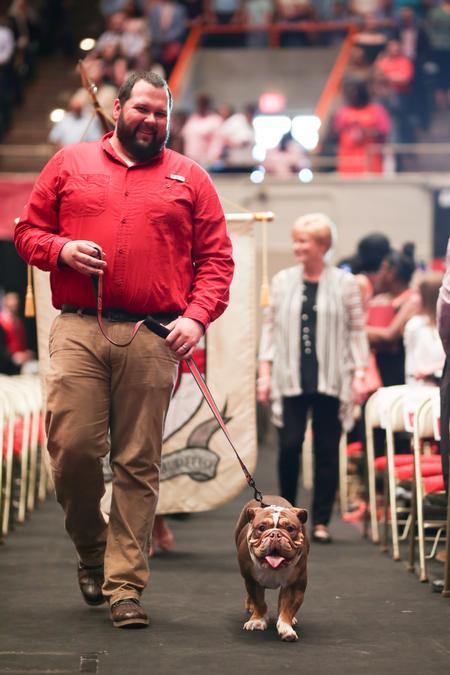 Rusty Tuders, assistant residence director, walks Buster the Bulldog at the beginning of the processional for spring commencement.  - Photo by Kristi McMurry Woody