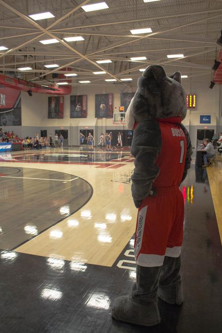 Buster the Bulldog, Union's mascot, watches the girls basketball team compete in the NCAA DII tournament.  - Photo by Riley Boggs