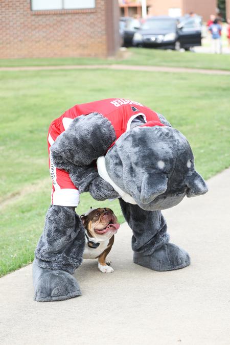 Buster and big Buster play together during move-in day. - Photo by Kristi McMurry Woody