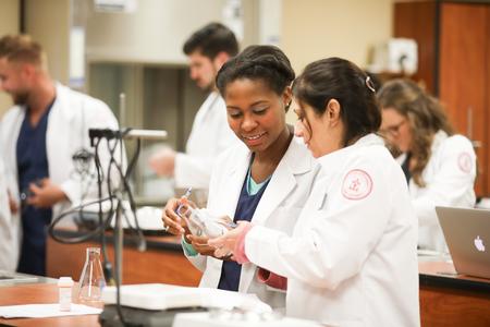 Pharmacy students work on a lab assignment. - Photo by Kristi McMurry Woody