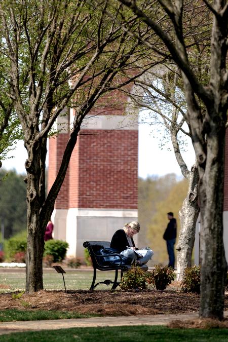 Students take advantage of the nice weather and study outside.  - Photo by Kristi McMurry Woody