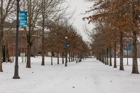 Snow covers the walkway along the Great Lawn. - Photo by Kristi McMurry Woody